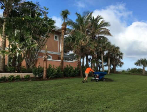 4 Ways A Landscape Maintenance Company Can Keep Your Soil Healthy