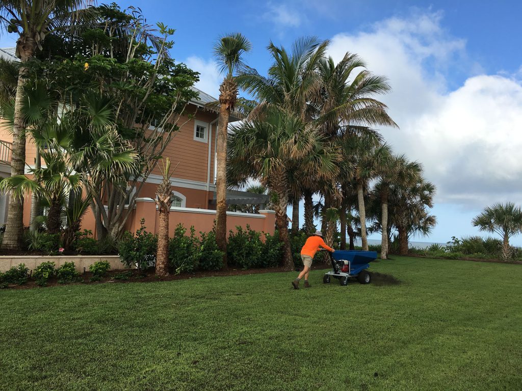 4 Ways A Landscape Maintenance Company Can Keep Your Soil Healthy