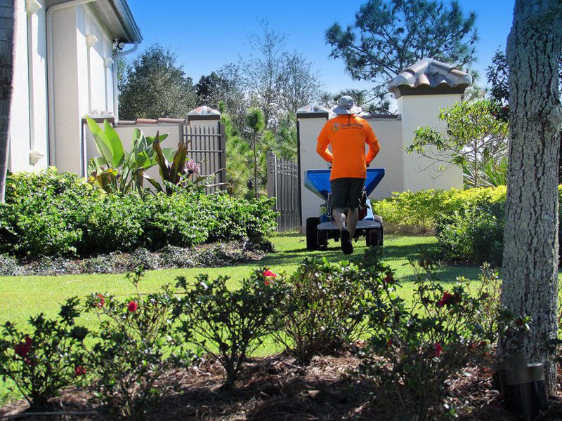 Top Dressing With Compost Is A More Sustainable And Affordable