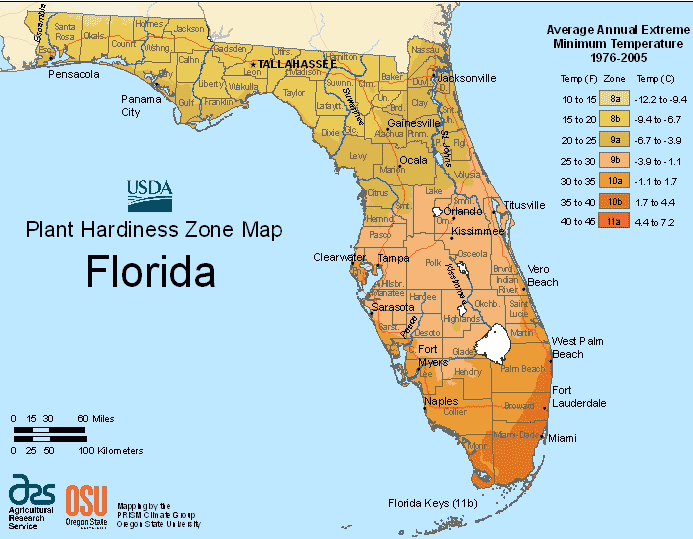 Florida USGA Plant Hardiness Zone Map