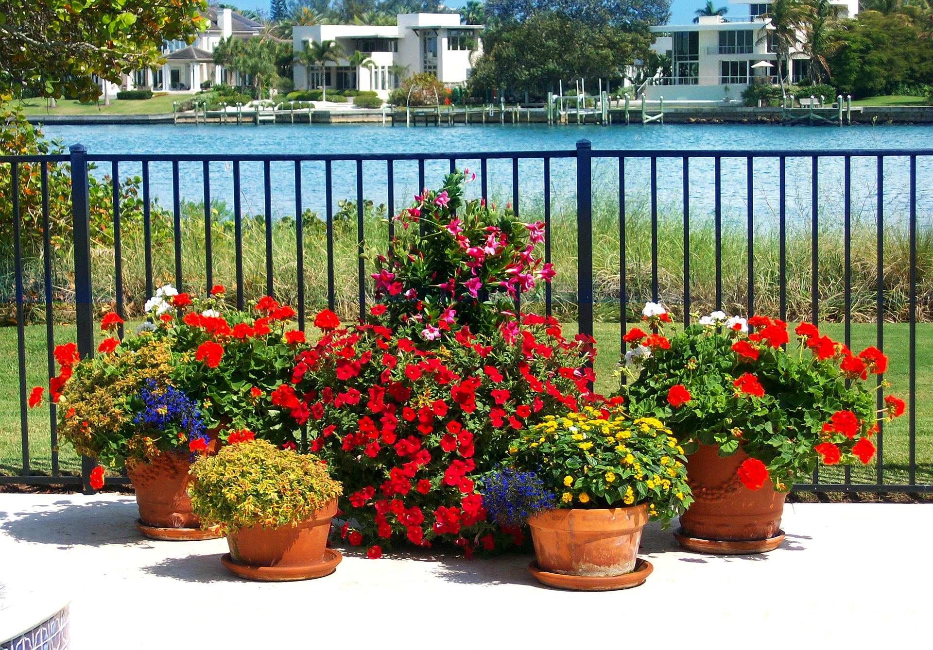 Landscape Company Sarasota