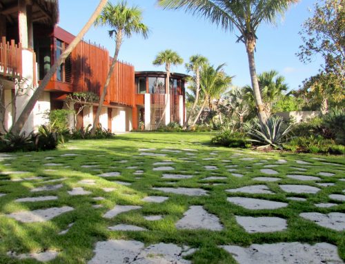 Why You Need A Landscape Designer To Create Beautiful Outdoor Spaces In Sarasota