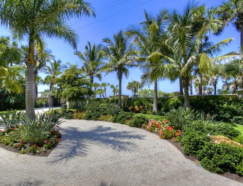 3 Landscape Design Tips For Your SW Florida Home