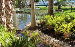 The Bay Sarasota Phase 1 - Wilhelm Brothers Landscape Management Grant Beatt Sarasota