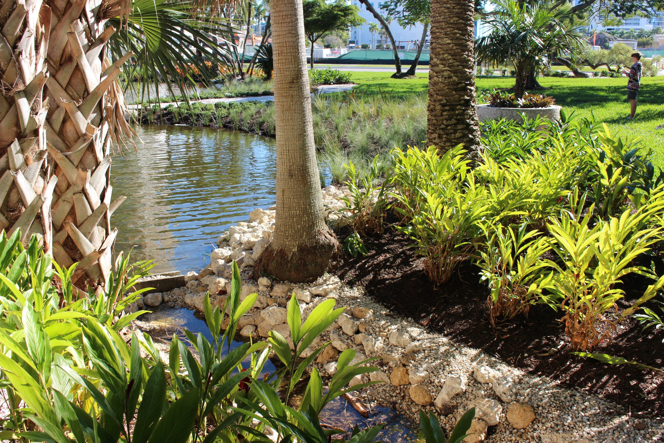 The Bay Sarasota - Landscape Installation Sarasota FL