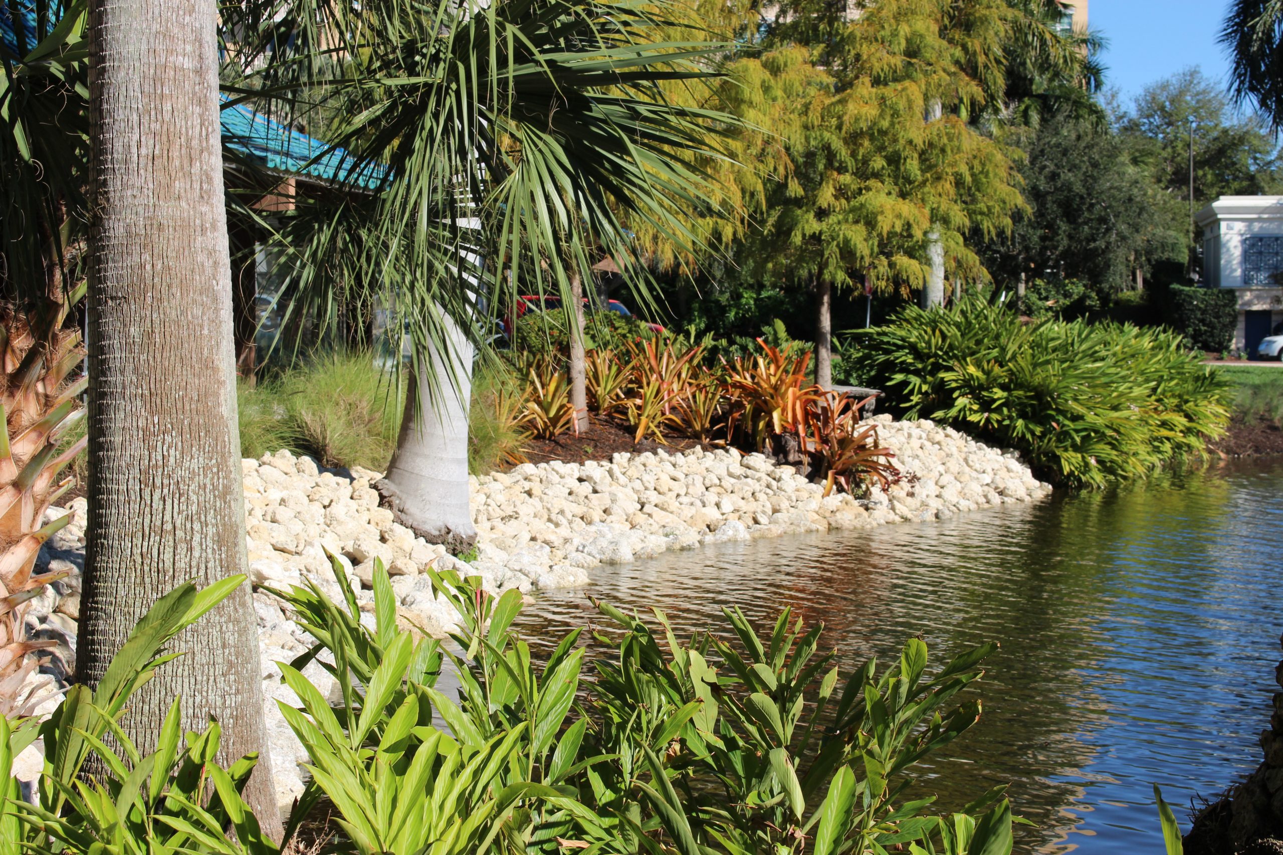 The Bay Sarasota - Landscape Installation Sarasota FL
