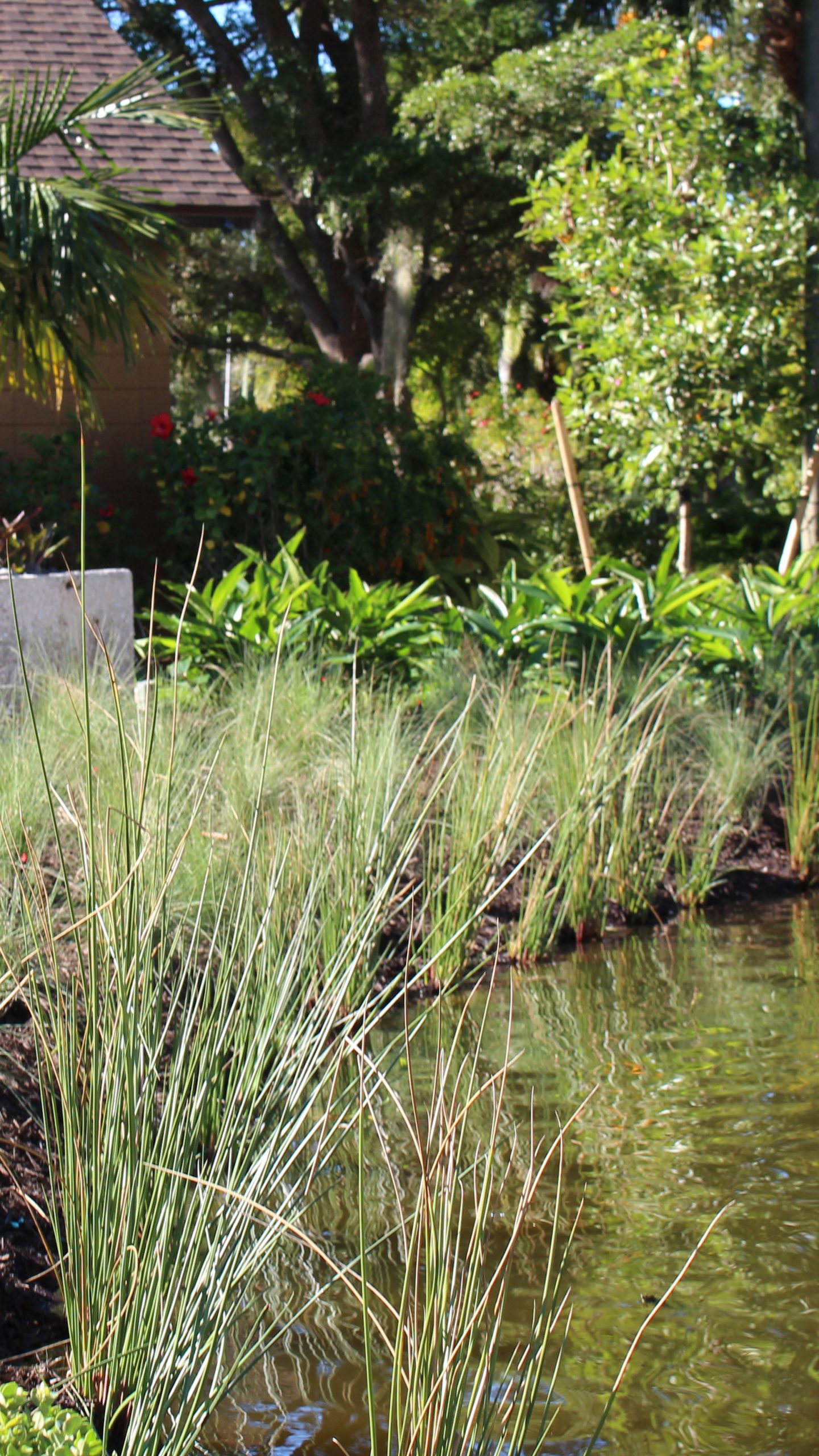horticulture-consultant
