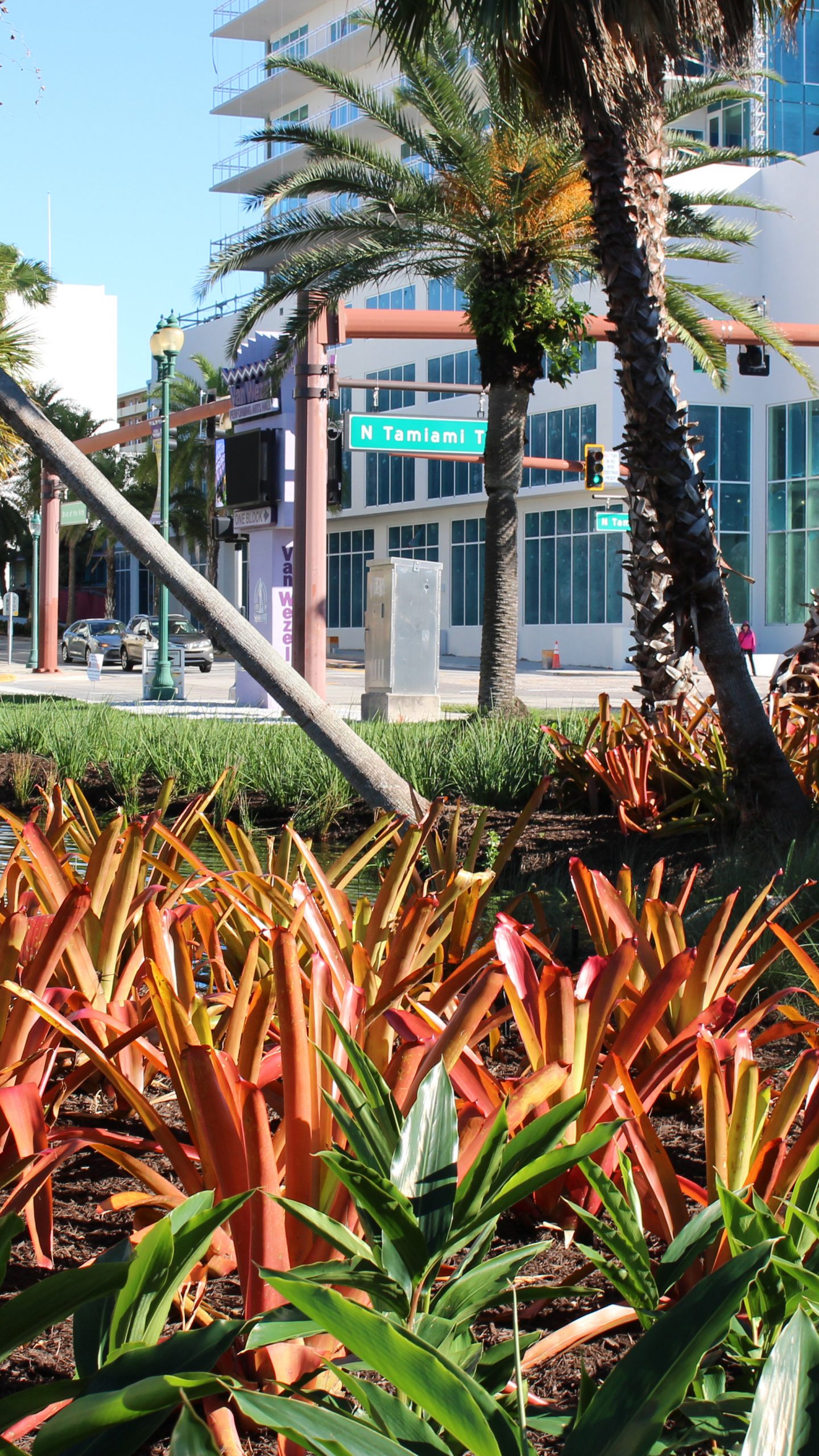 The Bay Sarasota - Landscape Installation Sarasota FL